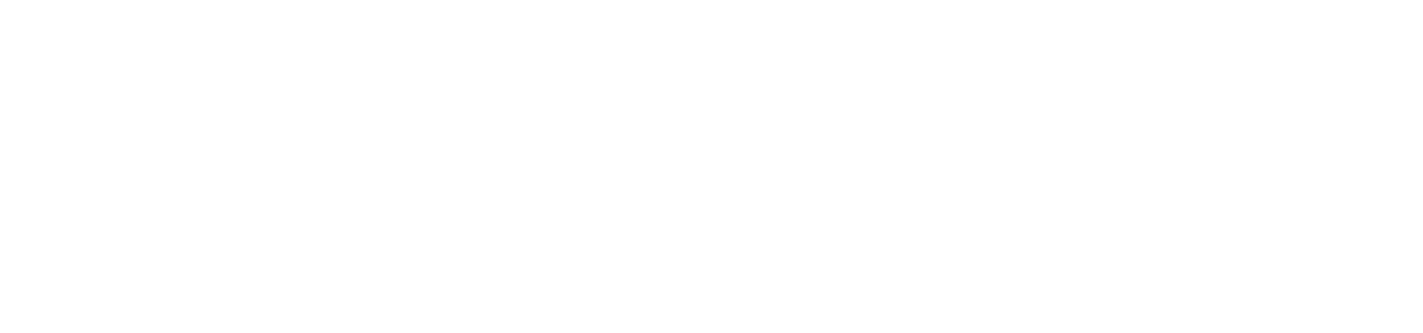 DNS Management Control Panel